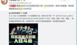 好东西爆料视频完整版,完整版视频深度解析